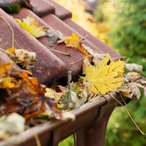 gutters filled to the brim with leaves