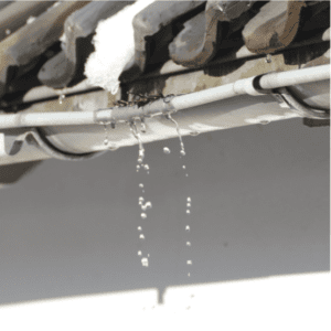 Ottawa Roof Leak Repairs